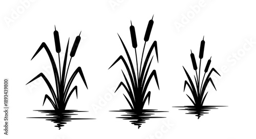 Cattails Silhouette Illustration on White Background.