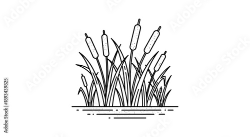Cattails Illustration Simple Line Art Style.