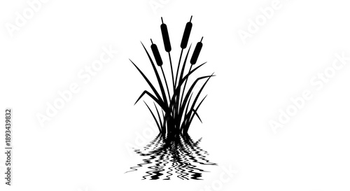 Black and White Illustration of Cattails.