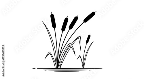 Cattails Illustration Simple Black White Drawing.