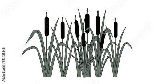 Cattails illustration with black flowers and green leaves.