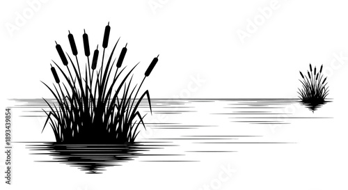 Cattails Growing in the Water.