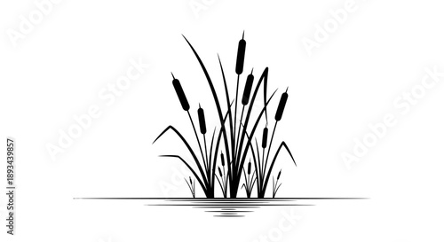 Cattails Silhouette Illustration on White Background.