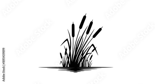 Black Silhouette of Cattails on Water.