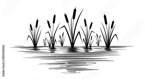 Black and White Illustration of Cattails.