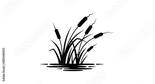 Black Silhouette of Cattails in Water.