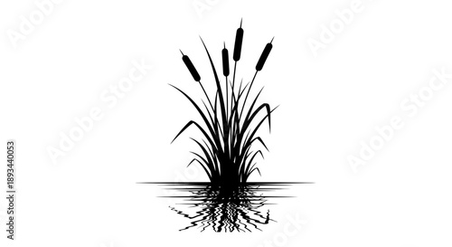Cattail Plant Silhouette with Roots and Leaves.