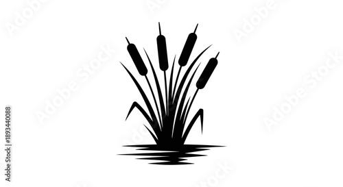 Black Silhouette of Cattails in Water.