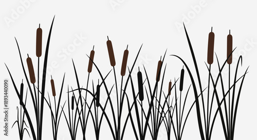 Cattails Silhouetted Against a White Background.