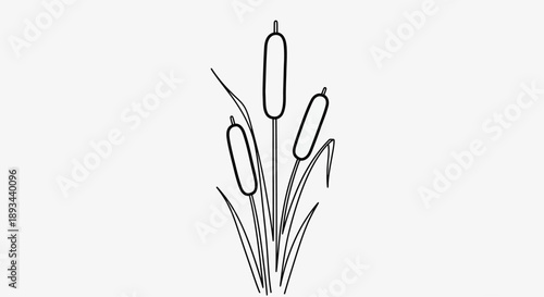 Simple Black and White Cattail Illustration.