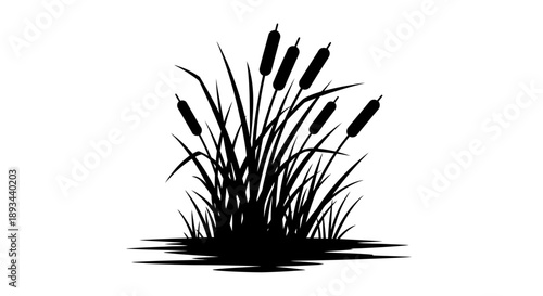 Cattails Silhouette Illustration on White Background.