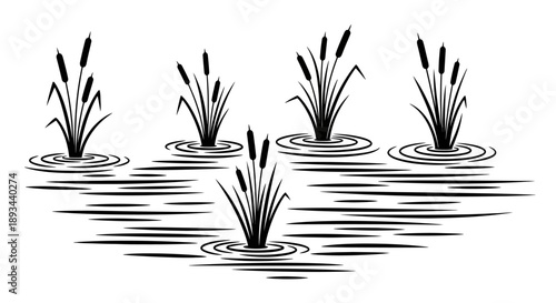 Cattails Growing in Water Illustration.