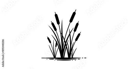 Cattails Silhouette Illustration Simple Black White.