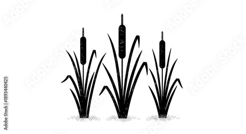 Black Silhouette of Cattails on White Background.