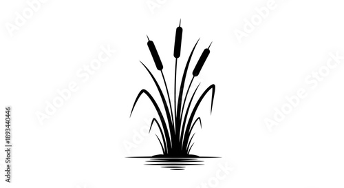 Black Silhouette of Cattails Plant.