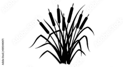 Cattail Plant Silhouette Isolated on White Background.