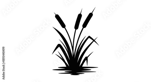 Black Silhouette of Cattails on White.
