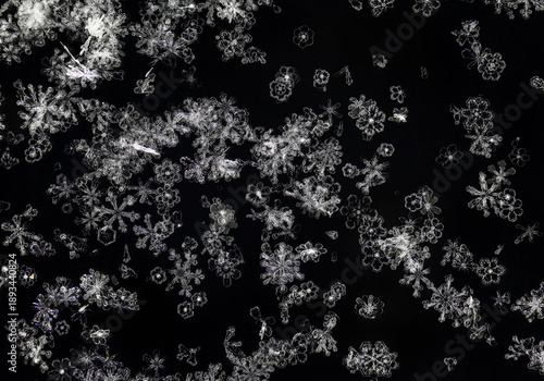 Natural holiday background of various shapes and sizes of shiny carved snowfl...