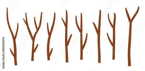 tree branch brown sticks