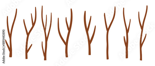 tree branch brown sticks
