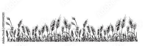 wheat border village landscape