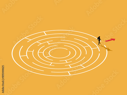 businesswoman successfully navigated the maze