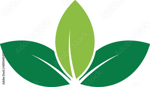 Simple green leaf logo design