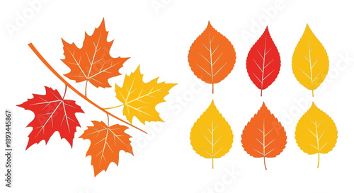 Colorful autumn leaves arranged in a simple decorative composition