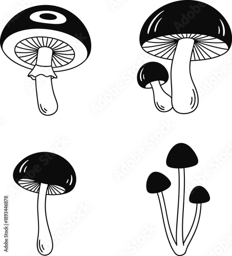 Black lightning bolt icon with radiating lines, symbolizing energy, power, and electricity, perfect for technology or design