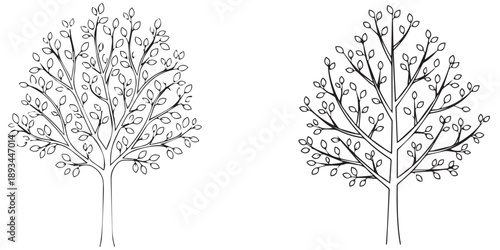 set stylized black and white line art trees with unique shapes  silhouette art and illustrator eps 10