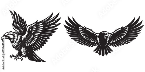 Eagle flying predator bird soaring wing majestic freedom powerful eps 10