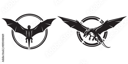 Two black pterodactyl silhouettes flying on white background eps 10