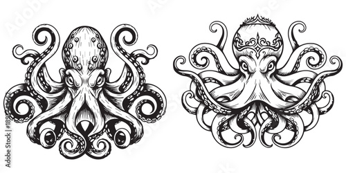 Detailed octopus graphic art with intricate decorative style silhouette art and illustrator eps 10