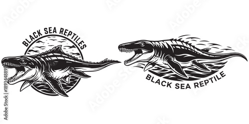 Two ferocious dinosaurs roaring in attack fighting graphic illustration eps 10