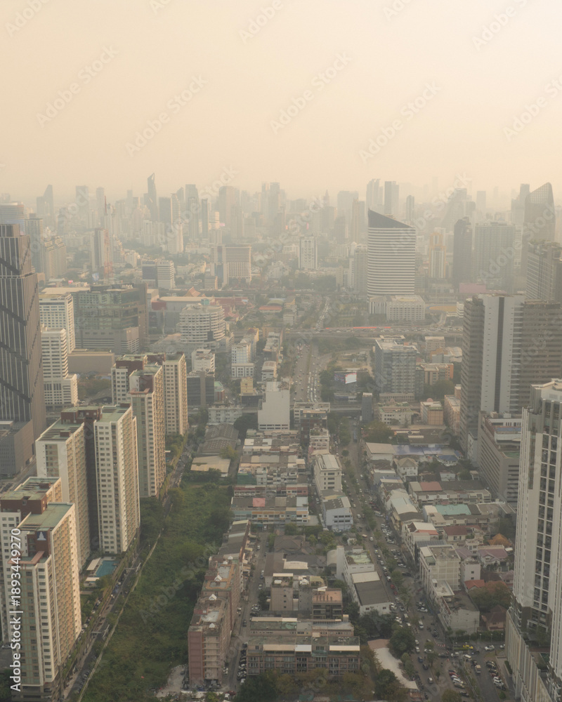 Obraz premium Vertical Aerial City Skyline Covered by Air Pollution Smog