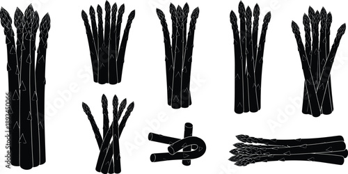 Asparagus silhouette vector set, black vegetable illustration collection, fresh organic asparagus bundles and spears, isolated healthy food icons on white background