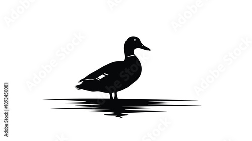 a simple black duck illustration against a white background silhouette