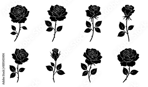 SEO Title
Classic black and white rose silhouette vector set with botanical floral icons isolated on white