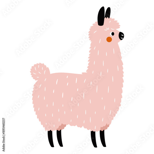 Flat vector illustration in a simple children's style. Cute pink llama . Vector illustration