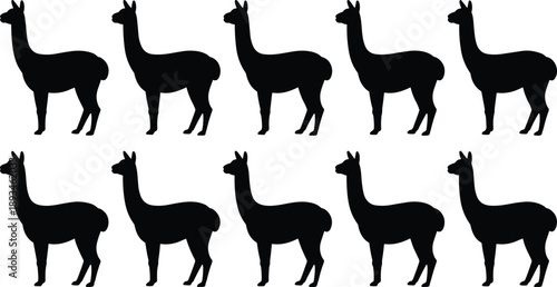 Black llama silhouette pattern set with multiple standing poses animal vector illustration isolated on white background for textile branding design