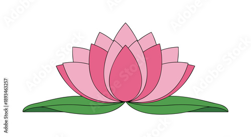 Beautiful Pink Lotus Flower Vector Illustration with Green Leaves, a Symbol of Purity and Enlightenment