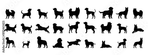 Black silhouette dogs. Simple pet icon.