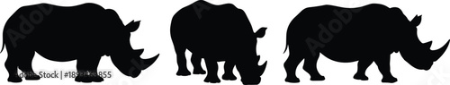 Black rhinoceros silhouette set, three rhino poses, wildlife animal vector illustration isolated on white background for conservation design branding poster