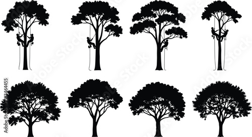 Tree silhouette collection with climbers, arborist rope work scenes and natural forest shapes, outdoor adventure nature black vector illustration set