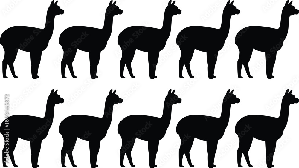 Obraz premium Black llama silhouette repeating set with multiple standing poses animal vector illustration isolated on white background for pattern textile branding design