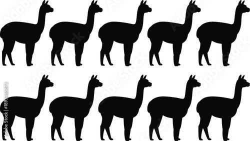 Black llama silhouette repeating set with multiple standing poses animal vector illustration isolated on white background for pattern textile branding design