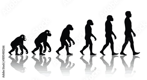 Silhouettes depict the long historical progression of human evolution from ape to modern man