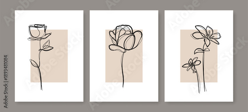 Set Aesthetic Contemporary Wall Art Posters with Abstract Minimal Flowers Drawings in Line Art Elegant Style. Elegant Linear Floral Design in Pastel Color. Wall Art Boho Background in Minimalist Style