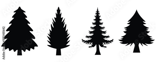 Fir Tree Silhouette Pictogram Set – Fir  Trees for Holiday
