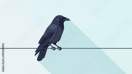 Dark bird with sleek feathers perches on a thin wire against a pale sky